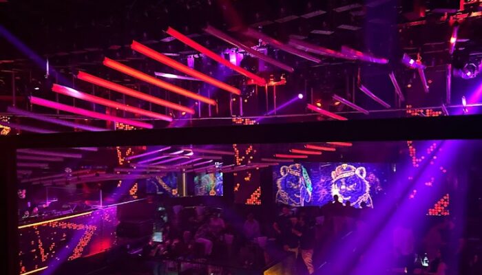 Dubai XO Club سهرات خليجية في دبي11
